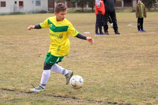 乐鱼体育官网入口-中国足球职业联赛推广数字化训练与分析，中国足球职业联赛体系